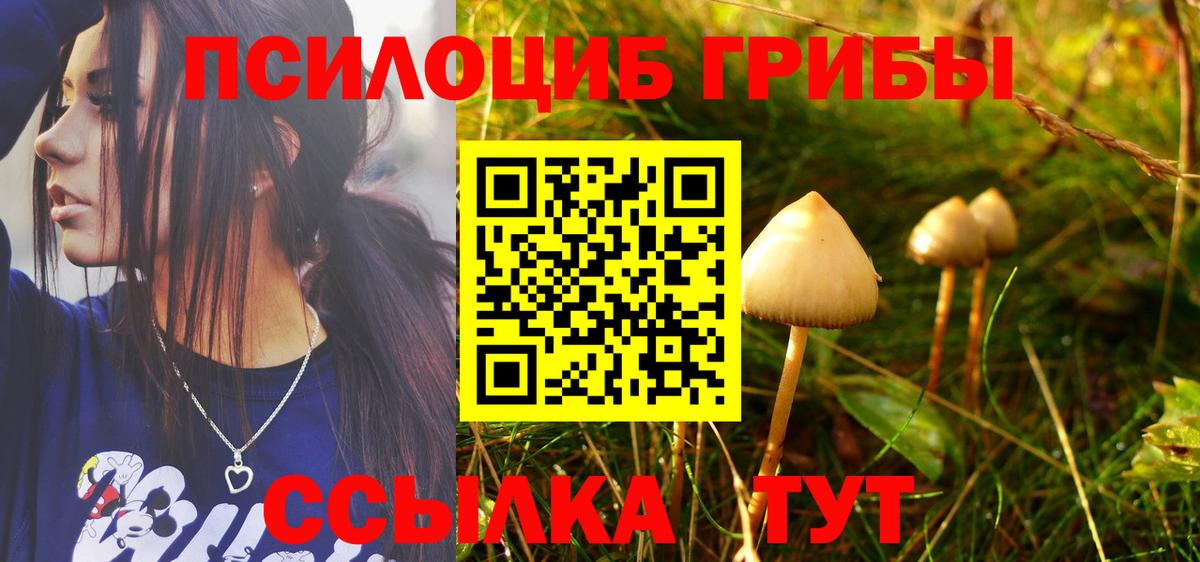 Псилоцибиновые грибы ЛСД  Галлюциногенные грибы мицелий  Вход с VPN  Чусовой 